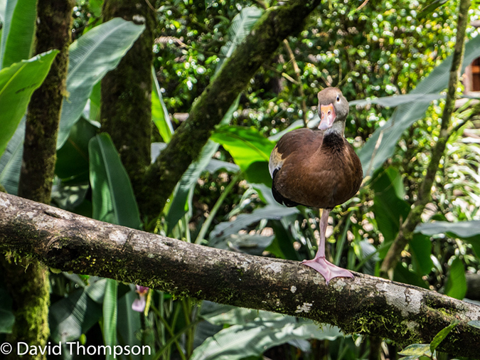 %_tempFileName2015-11_10_02_La_Paz_Gardens-100739%