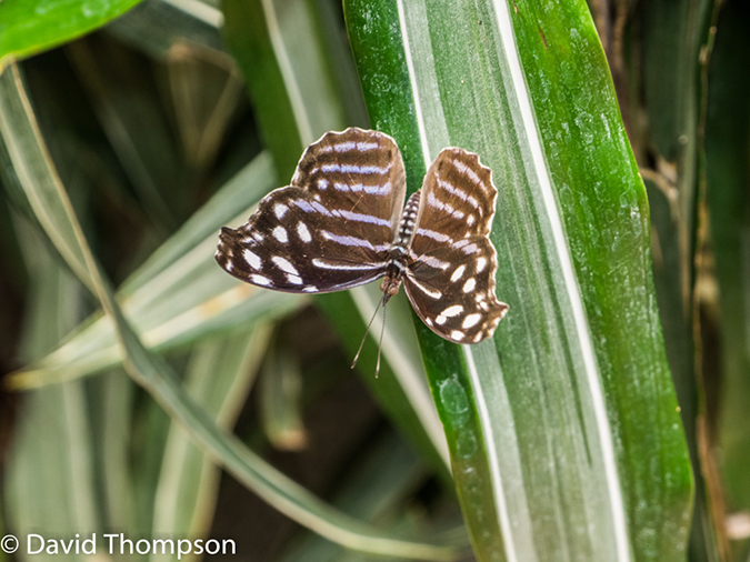 %_tempFileName2015-11_10_02_La_Paz_Gardens-100767%