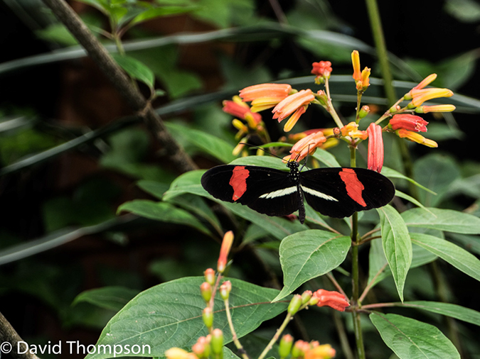 %_tempFileName2015-11_10_02_La_Paz_Gardens-100772%