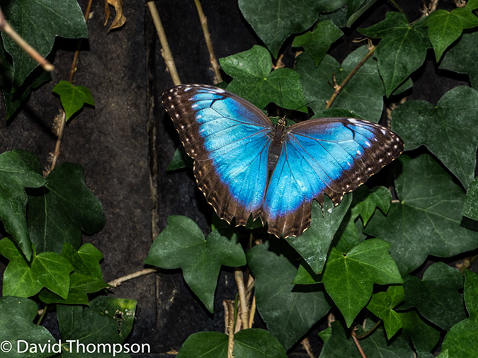 %_tempFileName2015-11_10_02_La_Paz_Gardens-100777%