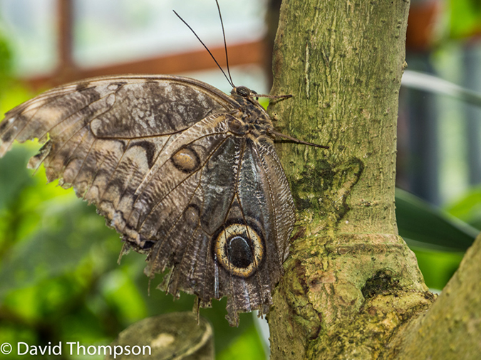 %_tempFileName2015-11_10_02_La_Paz_Gardens-100782%