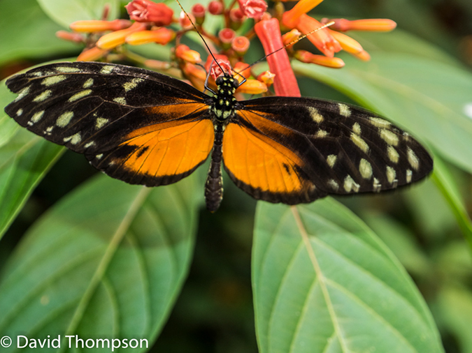 %_tempFileName2015-11_10_02_La_Paz_Gardens-100790%