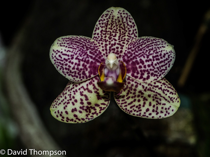 %_tempFileName2015-11_10_02_La_Paz_Gardens-100801%