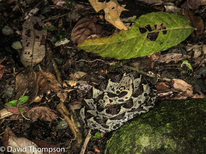 %_tempFileName2015-11_12_01_Rio%20Pacuare_Rafting_Trip-0813%