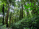 %_tempFileName2015-11_08_01_Monteverde-080553%