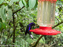 %_tempFileName2015-11_08_01_Monteverde-080622%