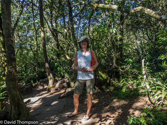 %_tempFileName2016-01-05_03_Gods_Window-1050722%