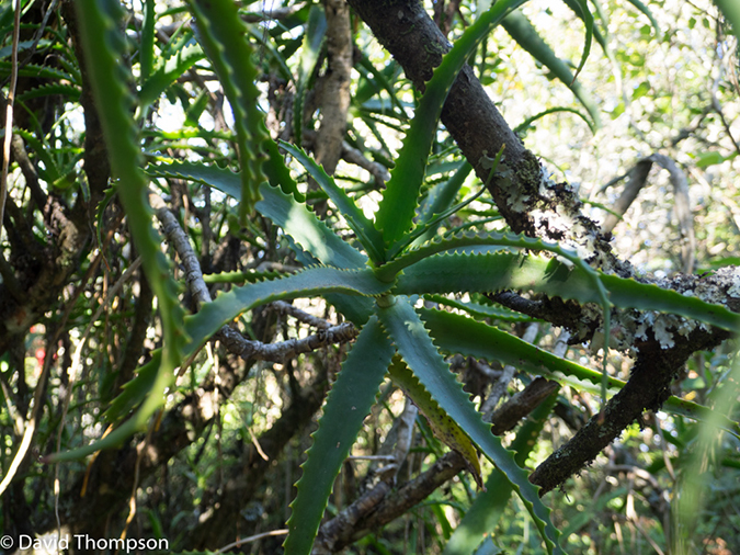 %_tempFileName2016-01-05_03_Gods_Window-1050730%