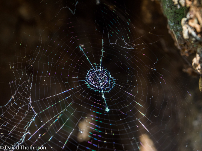 %_tempFileName2016-01-06_01_Blyde_Canyon_Hike-1060746%