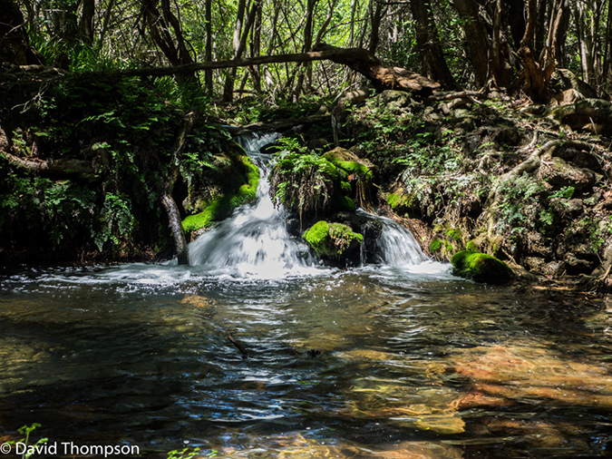 %_tempFileName2016-01-06_01_Blyde_Canyon_Hike-1060765%