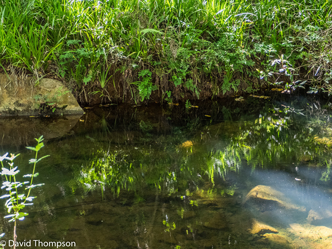 %_tempFileName2016-01-07_01_Blyde_Canyon_Hike-1070820%