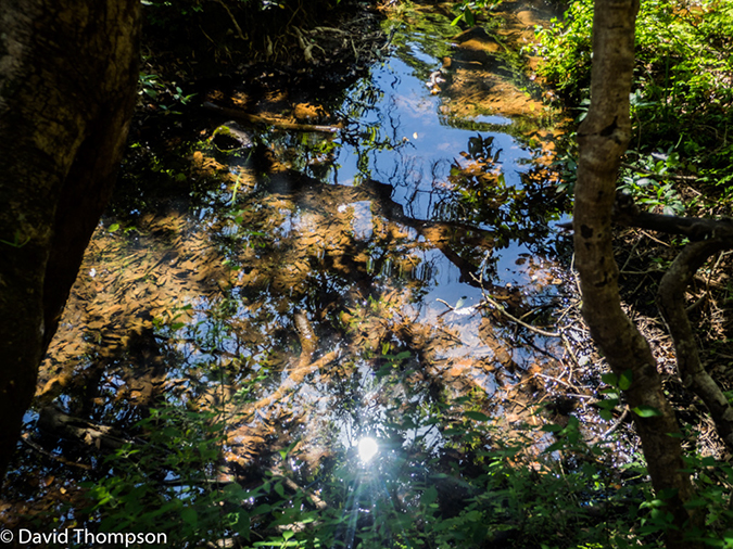 %_tempFileName2016-01-07_01_Blyde_Canyon_Hike-1070826%