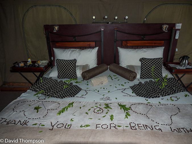 %_tempFileName2016-01-14_02_Botswana_Chobe_NP_Camp_Savuti-1141682%