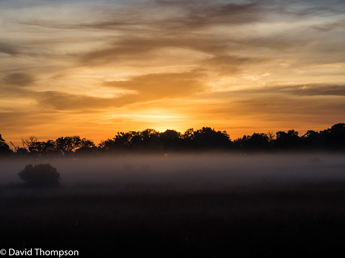 %_tempFileName2016_01-13_01_Botswana_Oddball_Enclave-1131288%