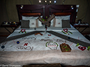 %_tempFileName2016_01-14_04_Botwana_Chobe_NP_Camp_Savuti_Stacy_Birthday-1141889%