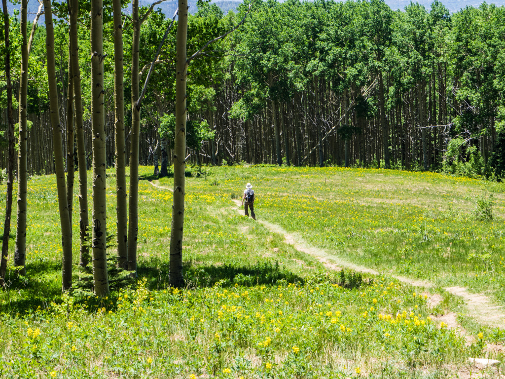 %_tempFileName2016-06-16_01_Deception_Peak-6160837%