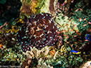%_tempFileName2016-05-08_02_Batu_Bolong-5082199%
