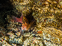%_tempFileName2016-05-08_03_Secret_Garden-5082251%