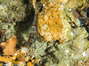 %_tempFileName2016-05-11_04_Gililawa_Darat-5110352%