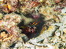 %_tempFileName2016-05-15_02_Turtle_Heaven-5150569%