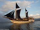%_tempFileName2016-05-15_03_Aurora_with_Sails-5150467%