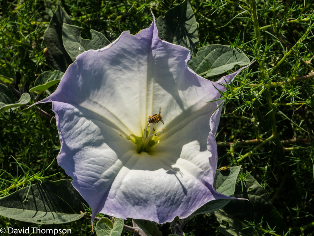 %_tempFileName2016-06-04_01_Crystal_Cove_Hike-6050523%