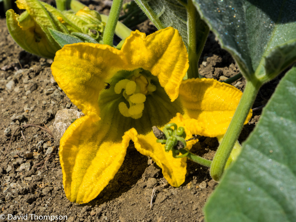 %_tempFileName2016-06-04_01_Crystal_Cove_Hike-6050528%