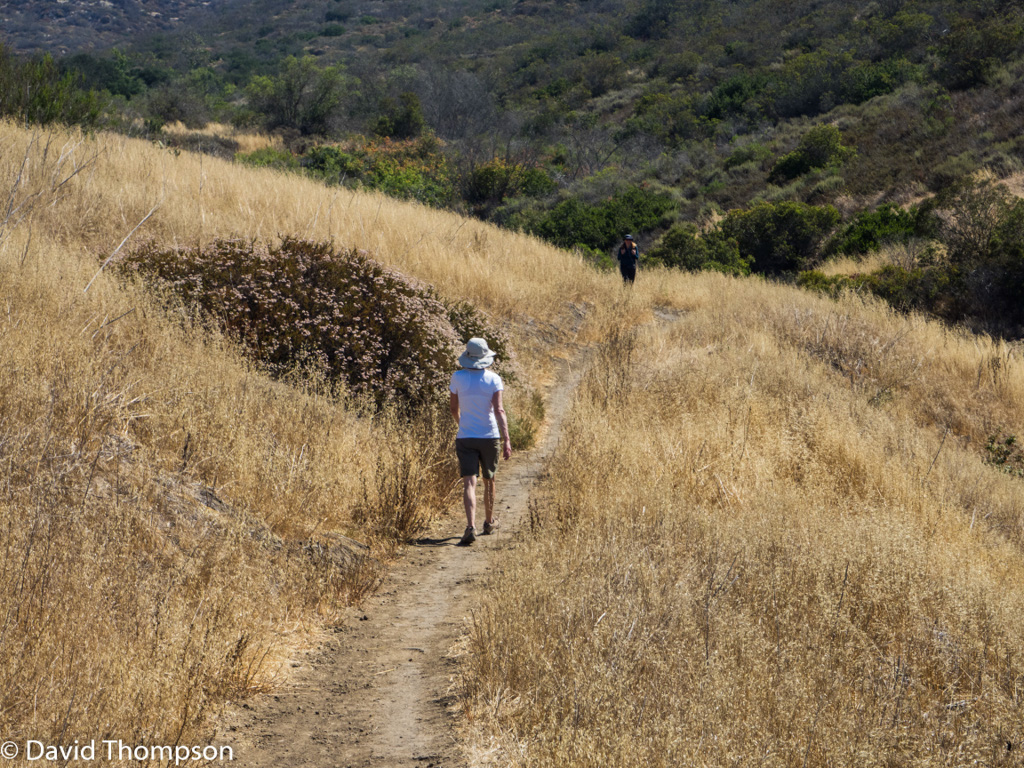 %_tempFileName2016-06-04_01_Crystal_Cove_Hike-6050541%