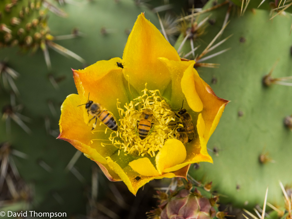 %_tempFileName2016-06-04_01_Crystal_Cove_Hike-6050551%