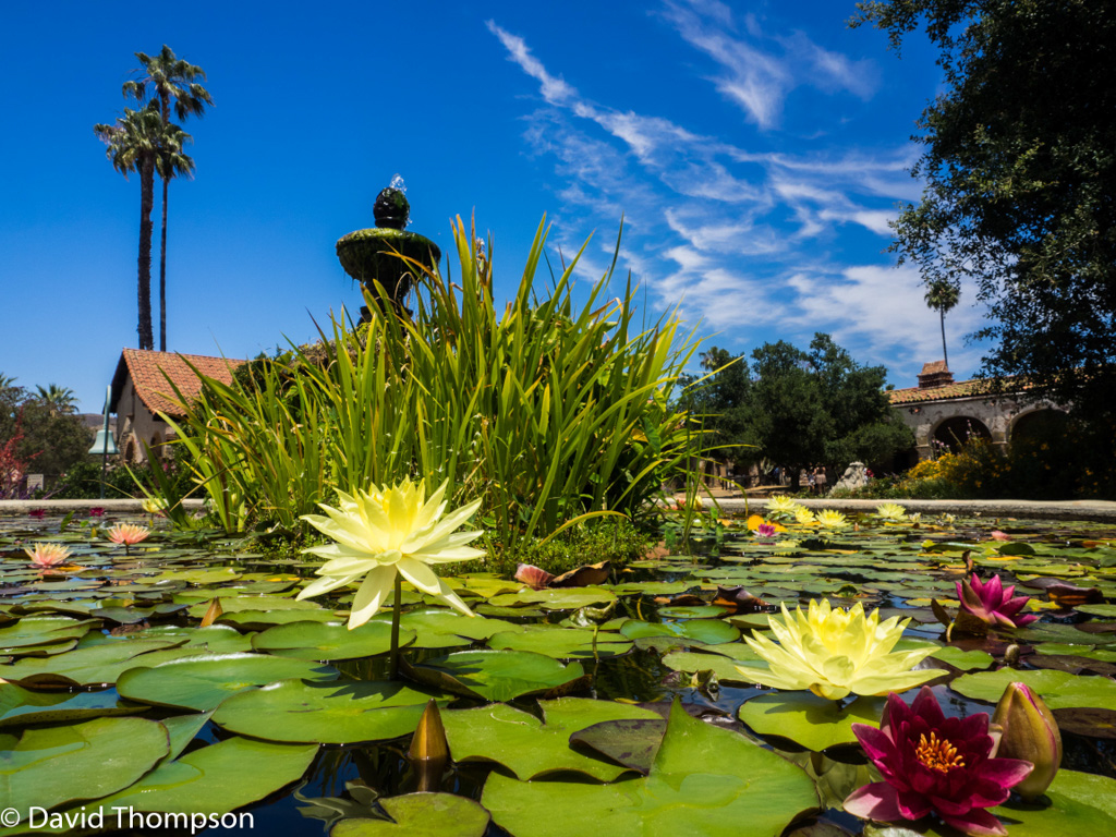 %_tempFileName2016-06-05_01_San_Juan_Capistrano-6060591%