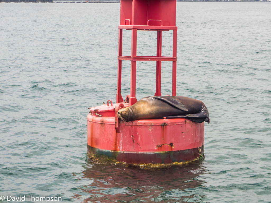 %_tempFileName2016-06-08_01_Harbor_Front-6080699%