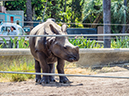 %_tempFileName2016-06-06_01_San_Diego_Zoo-6070050%