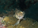 %_tempFileName20120504-1-Red%20Rock%20(6)%