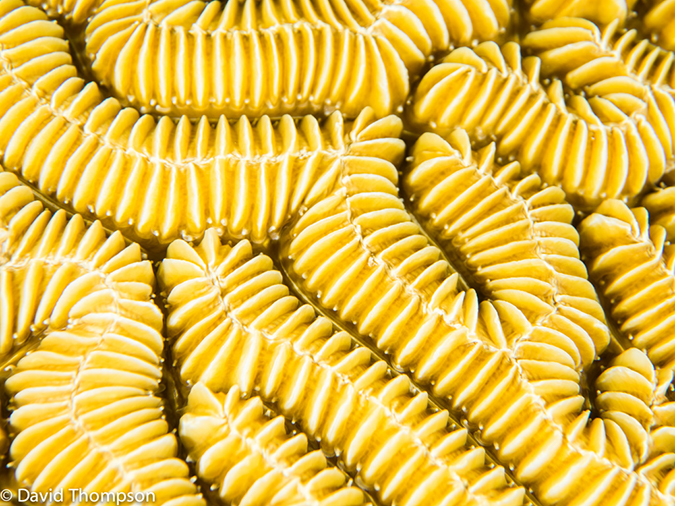 %_tempFileName2014-07-13_02_Long%20Caye_Island_Julies_Jungle-7130103%