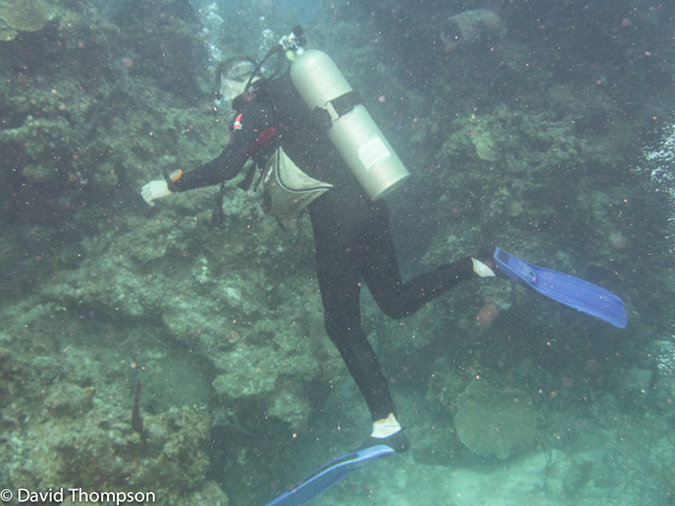 %_tempFileName2014-07-14_04_Half_Moon_Caye_sand_Box-7140021%