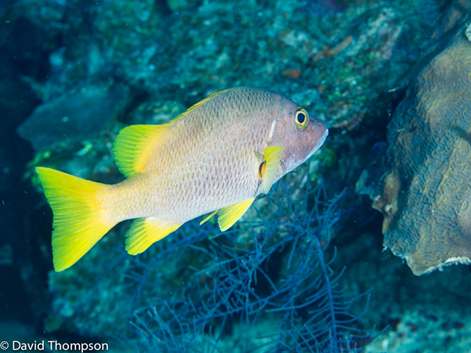 %_tempFileName2014-07-15_01_Chain_Wall-7150399%