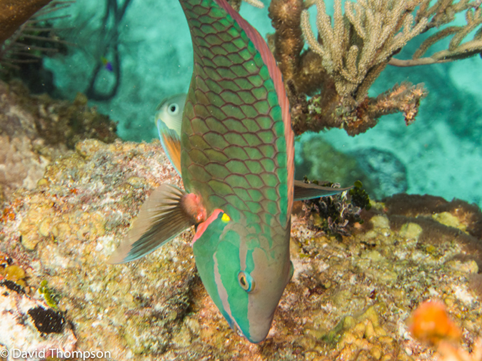 %_tempFileName2014-07-15_03_Chain_Wall-7150468%