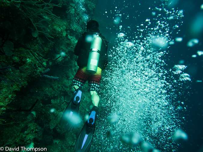 %_tempFileName2014-07-15_05_Uno_Coco-7150084%