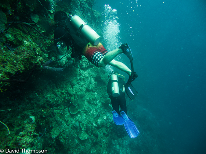 %_tempFileName2014-07-15_05_Uno_Coco-7150086%