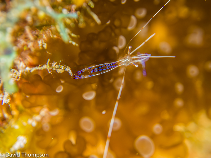 %_tempFileName2014-07-15_05_Uno_Coco-7150105%