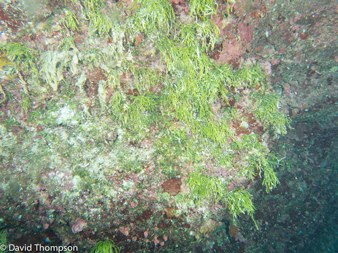 %_tempFileName2014-07-16_02_Blue_Hole-7160550%