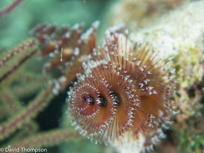 %_tempFileName2014-07-16_02_Blue_Hole-7160560%