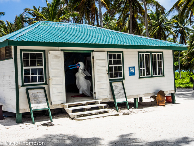 %_tempFileName2014-07-16_03_Half_Moon_Caye-7160627%