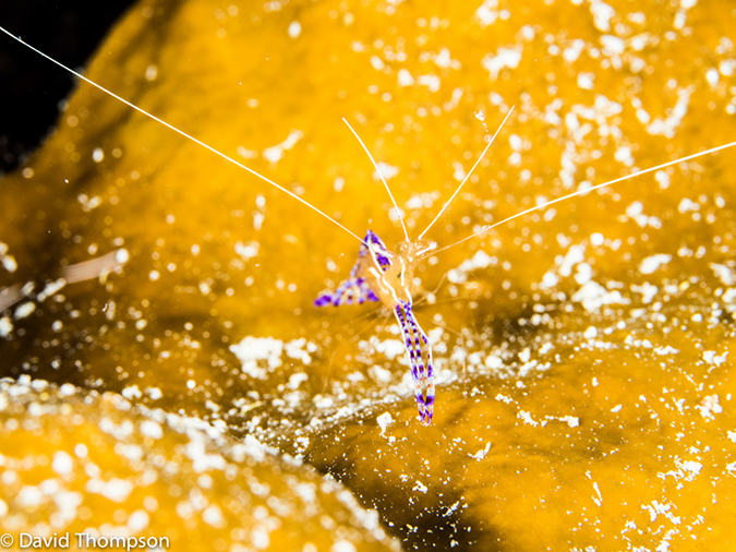 %_tempFileName2014-07-17_02_Site_X-7170698%