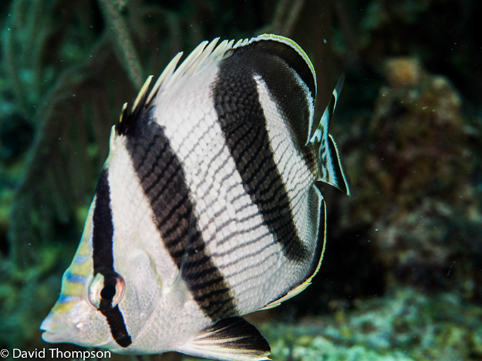 %_tempFileName2014-07-17_02_Site_X-7170717%