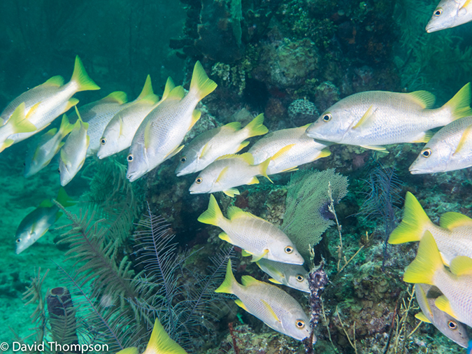 %_tempFileName2014-07-18_02_Sandy_Slope-7180783%