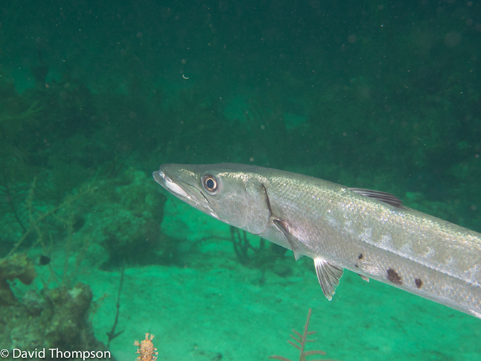 %_tempFileName2014-07-18_02_Sandy_Slope-7180795%