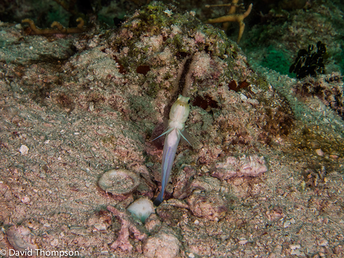 %_tempFileName2014-07-18_02_Sandy_Slope-7180799%