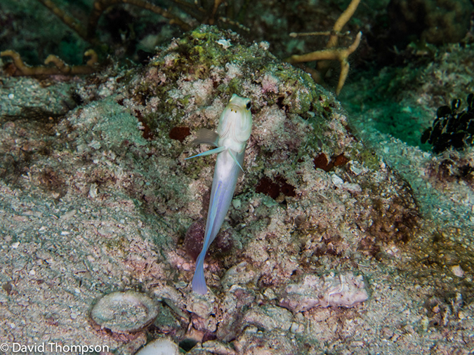 %_tempFileName2014-07-18_02_Sandy_Slope-7180800%