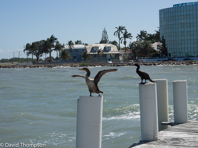 %_tempFileName2014-07-18_03_Belize_City-7180517%